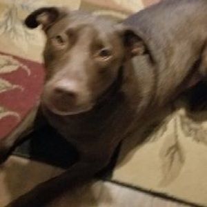 Meet your Posher, Marci